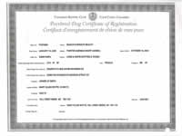 Cheyenne Can Registration Certificate